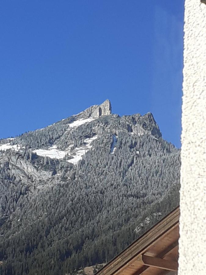 Adlerblick Leilighet Maurach  Eksteriør bilde